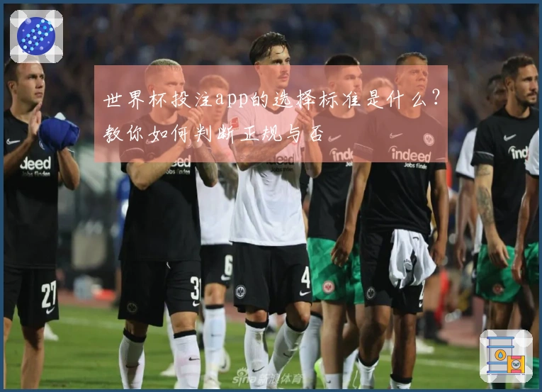 世界杯投注app的选择标准是什么？教你如何判断正规与否