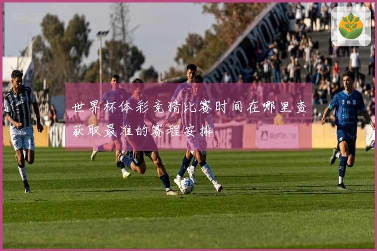 世界杯体彩竞猜比赛时间在哪里查获取最准的赛程安排