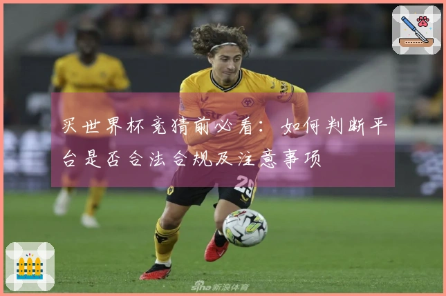 买世界杯竞猜前必看：如何判断平台是否合法合规及注意事项