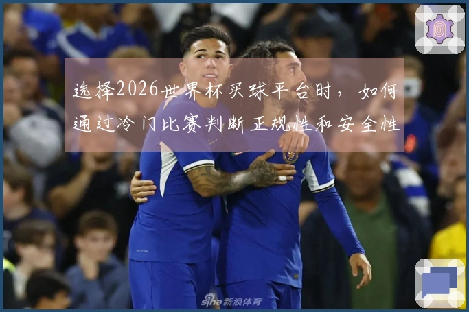选择2026世界杯买球平台时，如何通过冷门比赛判断正规性和安全性