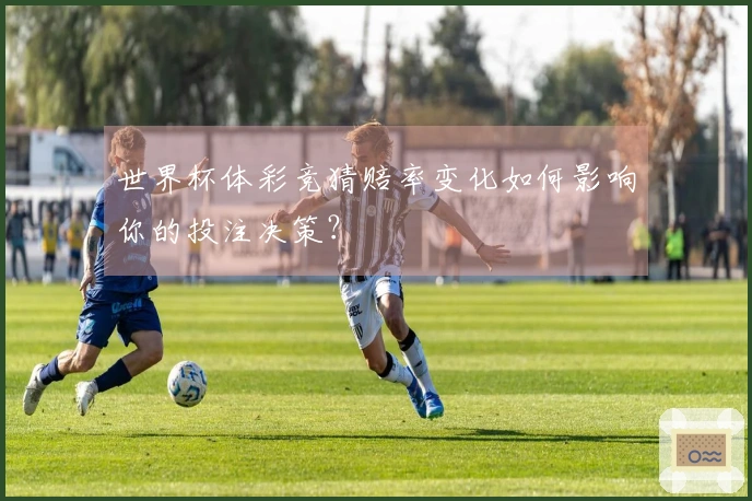 世界杯体彩竞猜赔率变化如何影响你的投注决策？
