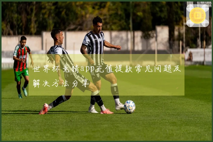 世界杯竞猜app充值提款常见问题及解决方法分享