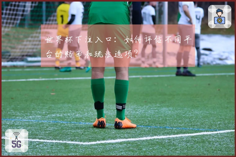 世界杯下注入口：如何评估不同平台的赔率和玩法选项？