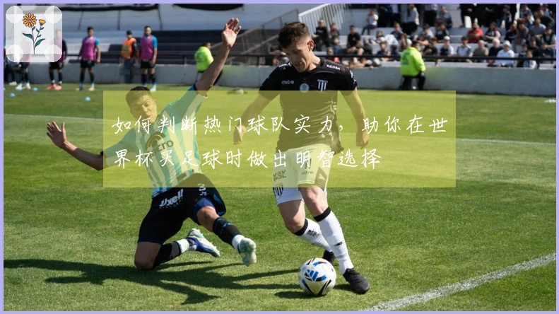 如何判断热门球队实力，助你在世界杯买足球时做出明智选择