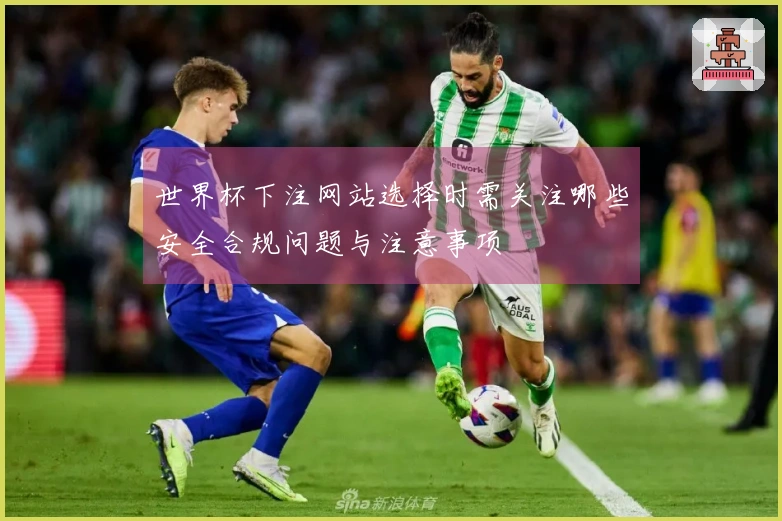世界杯下注网站选择时需关注哪些安全合规问题与注意事项