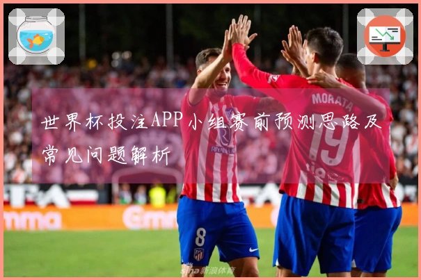 世界杯投注APP小组赛前预测思路及常见问题解析