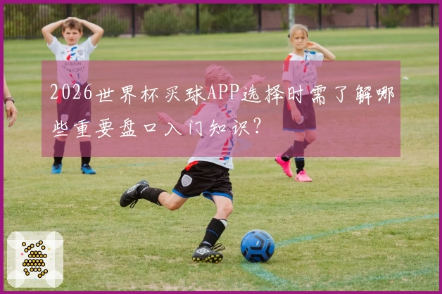 2026世界杯买球APP选择时需了解哪些重要盘口入门知识？