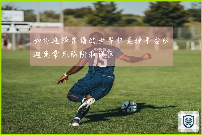 如何选择靠谱的世界杯竞猜平台以避免常见陷阱和误区