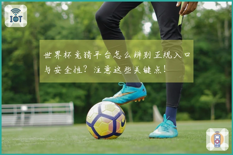 世界杯竞猜平台怎么辨别正规入口与安全性？注意这些关键点！