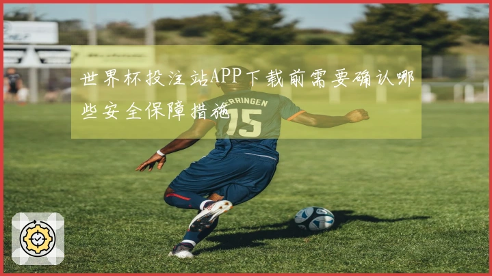 世界杯投注站APP下载前需要确认哪些安全保障措施