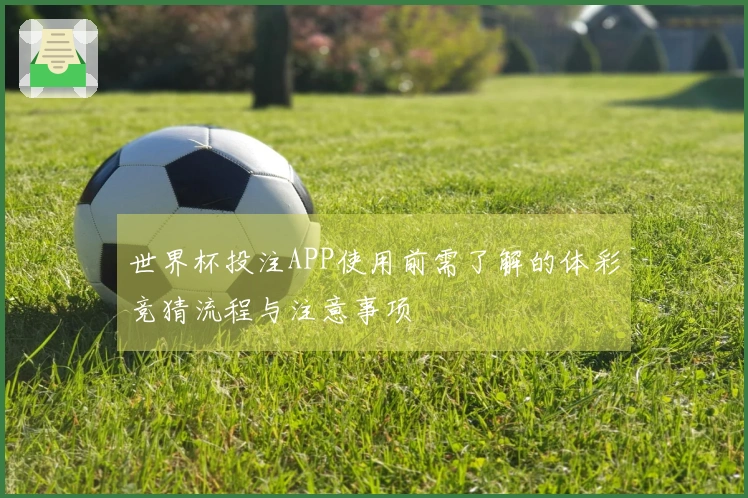 世界杯投注APP使用前需了解的体彩竞猜流程与注意事项