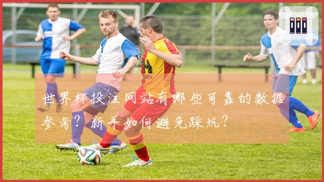 世界杯投注网站有哪些可靠的数据参考？新手如何避免踩坑？