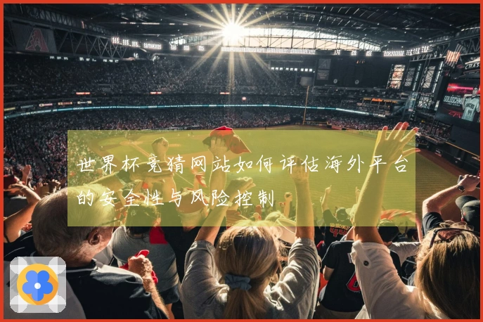 世界杯竞猜网站如何评估海外平台的安全性与风险控制