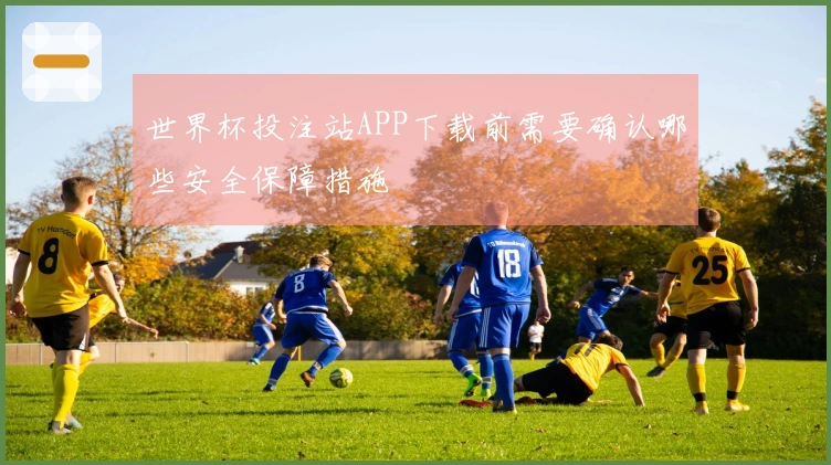 世界杯投注站APP下载前需要确认哪些安全保障措施