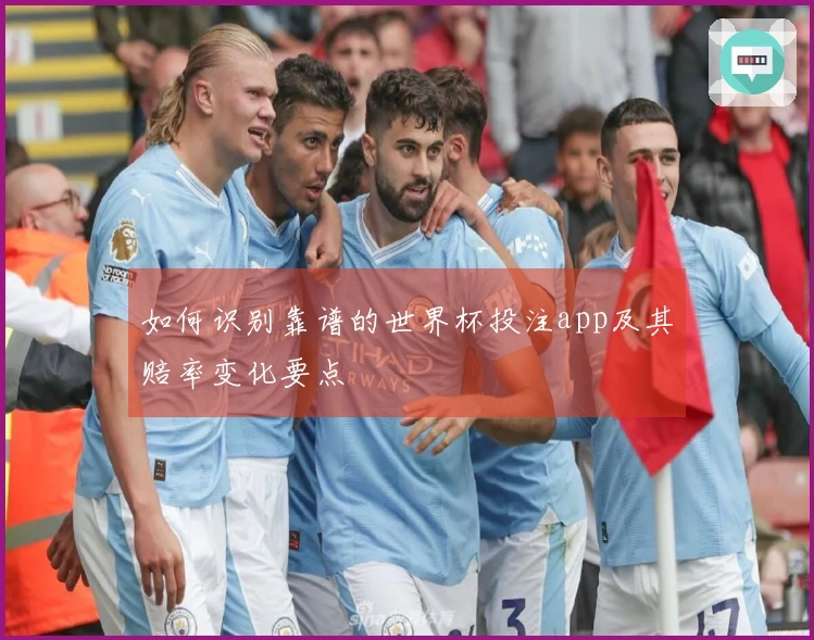 如何识别靠谱的世界杯投注app及其赔率变化要点