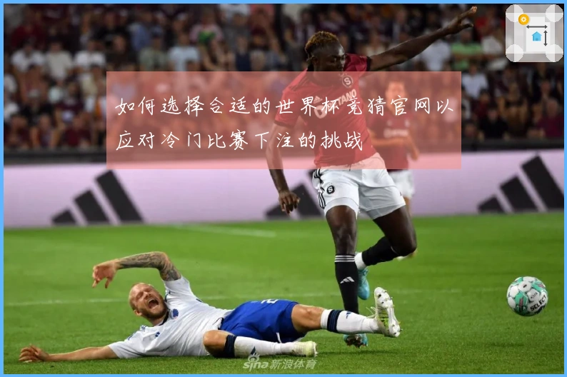 如何选择合适的世界杯竞猜官网以应对冷门比赛下注的挑战