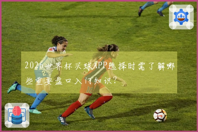 2026世界杯买球APP选择时需了解哪些重要盘口入门知识?