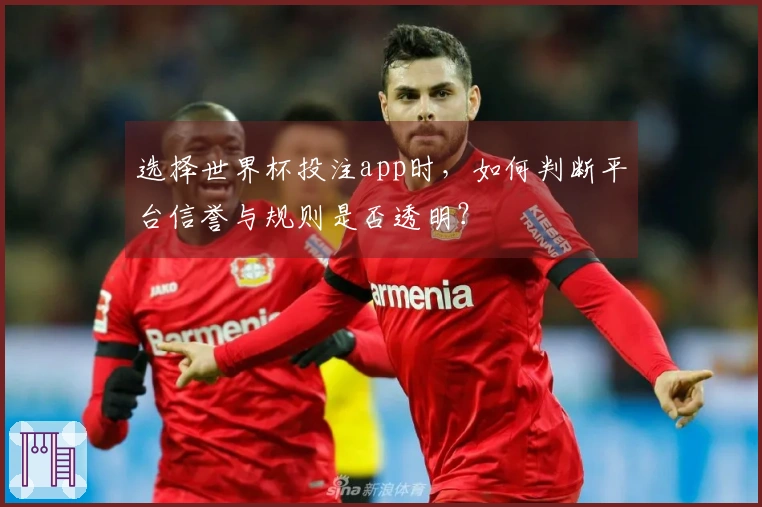 选择世界杯投注app时，如何判断平台信誉与规则是否透明？