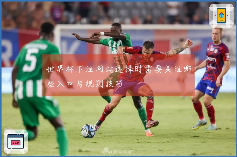 世界杯下注网站选择时需要关注哪些入口与规则技巧