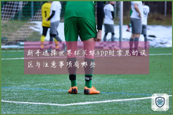 新手选择世界杯买球app时常见的误区与注意事项有哪些