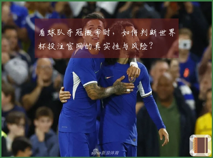 看球队夺冠概率时，如何判断世界杯投注官网的真实性与风险？