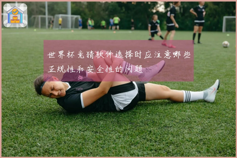 世界杯竞猜软件选择时应注意哪些正规性和安全性的问题