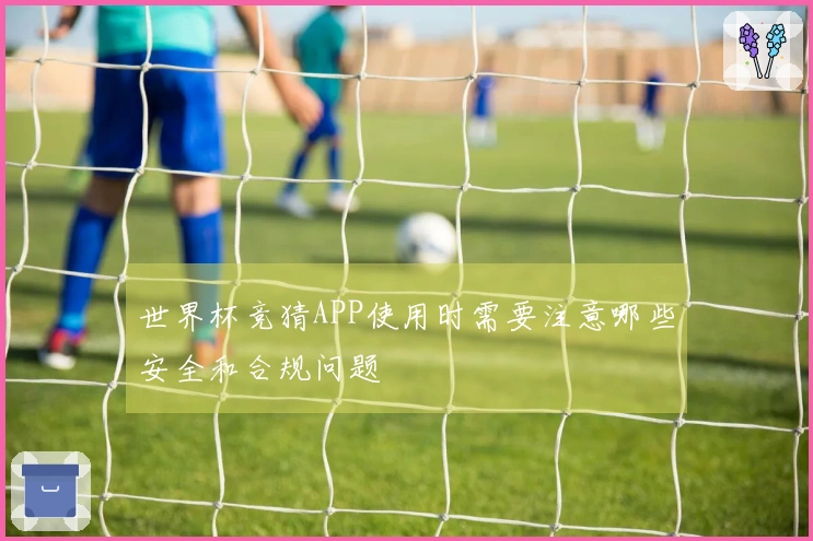 世界杯竞猜APP使用时需要注意哪些安全和合规问题