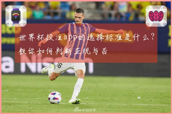 世界杯投注app的选择标准是什么？教你如何判断正规与否
