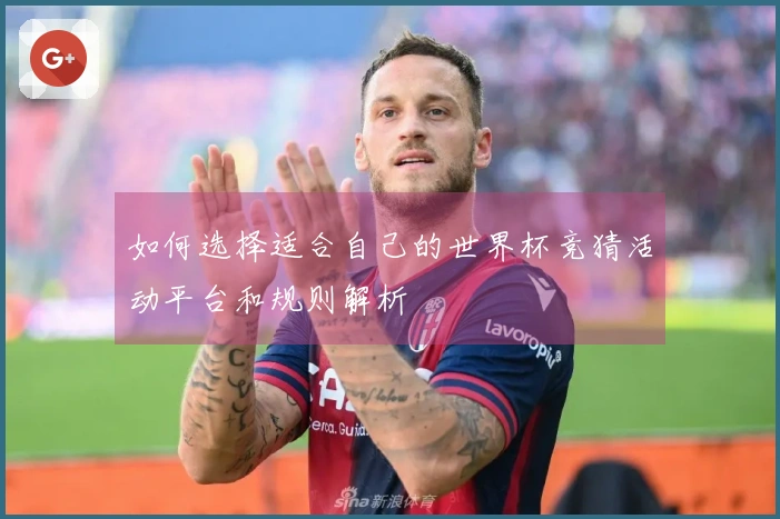 如何选择适合自己的世界杯竞猜活动平台和规则解析